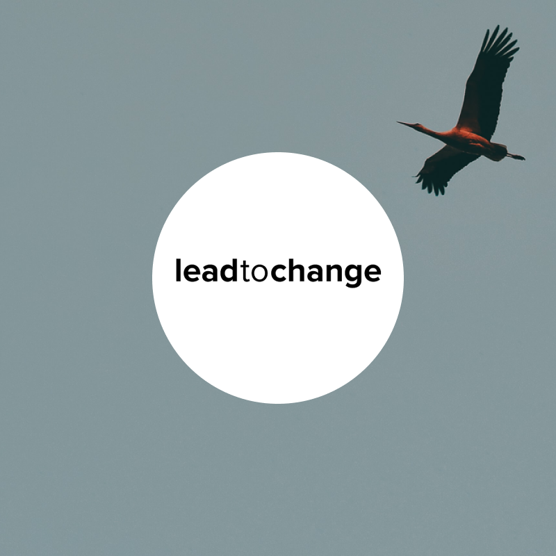 Lead to change